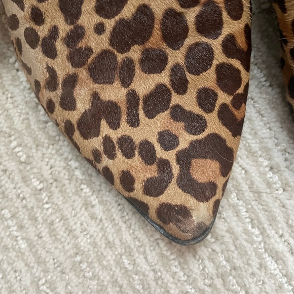 Dolce Vita Leopard Mule - Picture 3 of 4